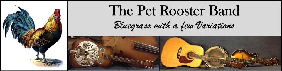 pet rooster - bluegrass band